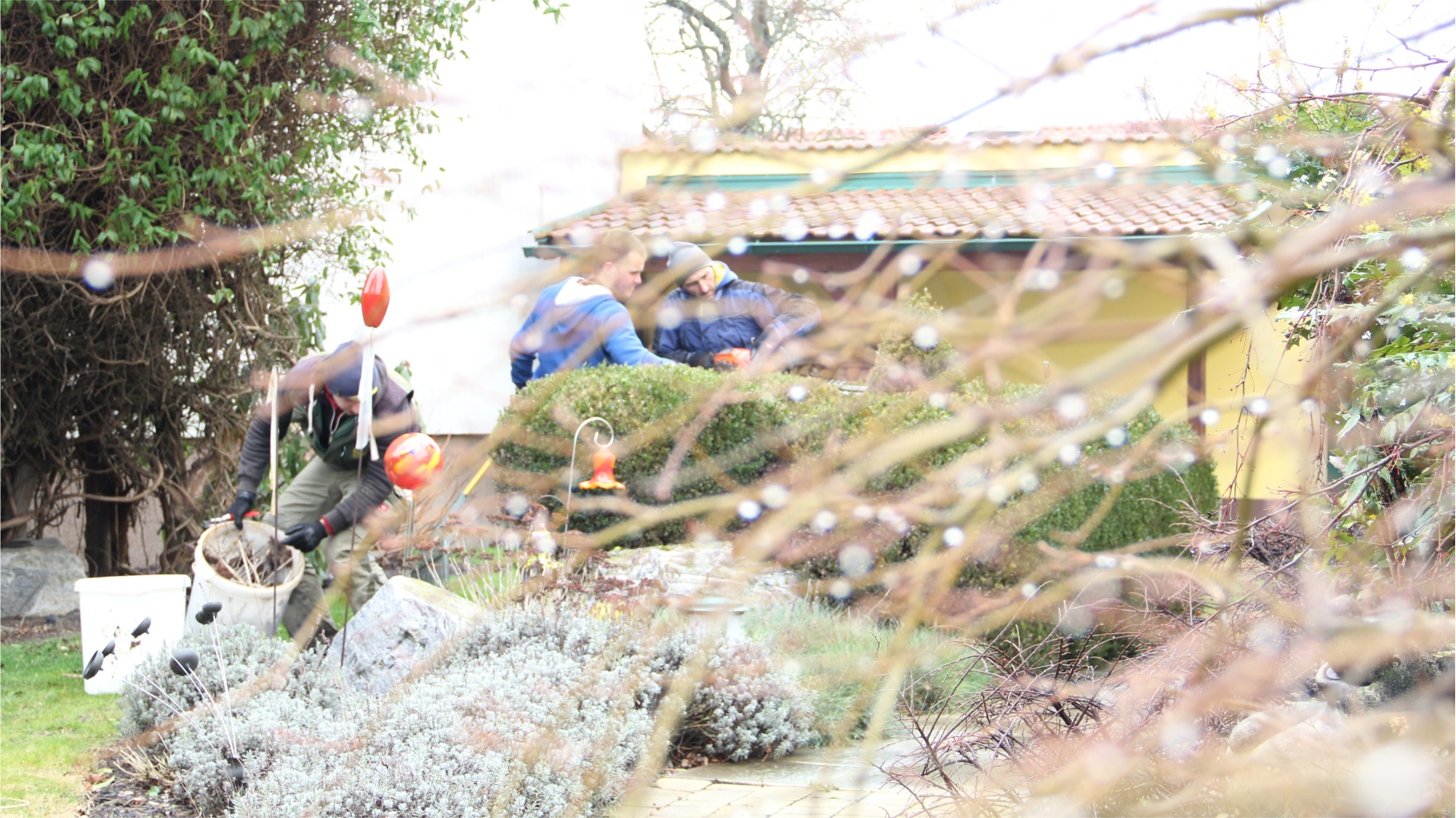 Pflege Privatgärten – Gartengestaltung Unger